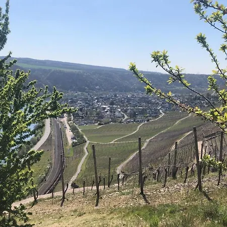 公寓 Im Zentrum Von *